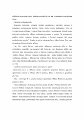 www.speros.lt